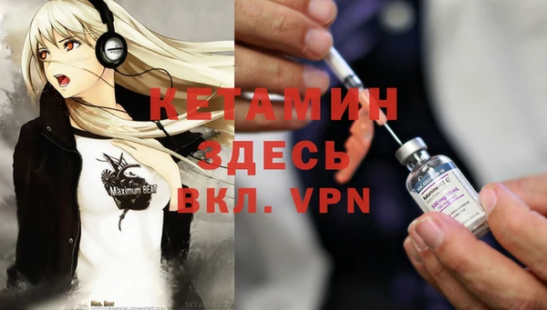 стаф Абаза