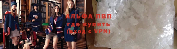стаф Абаза