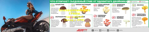 бошки Абинск