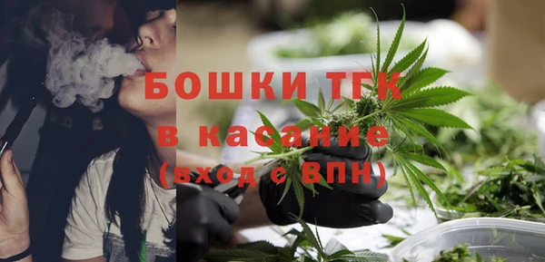 стаф Абаза